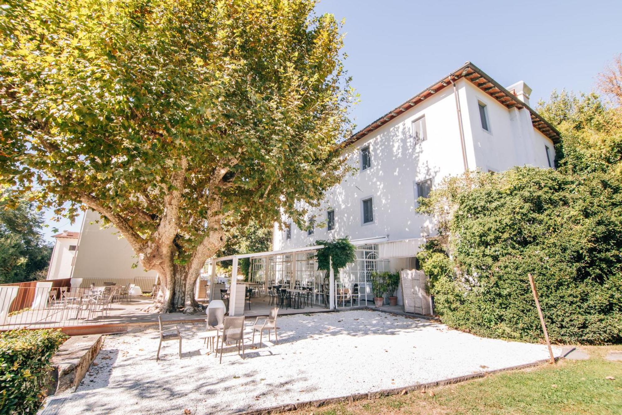 Villa La Bianca Camaiore Luaran gambar