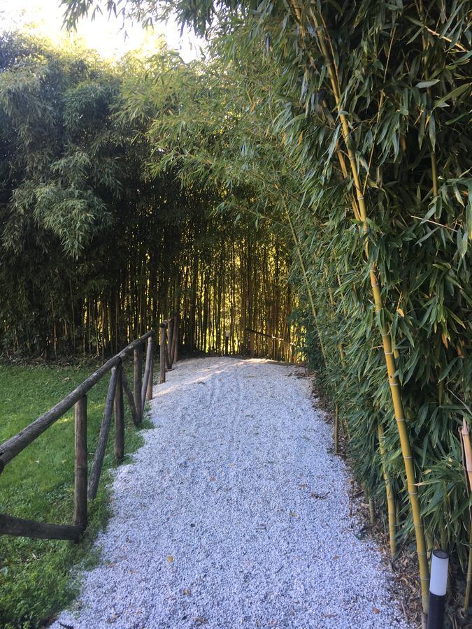Villa La Bianca Camaiore Luaran gambar